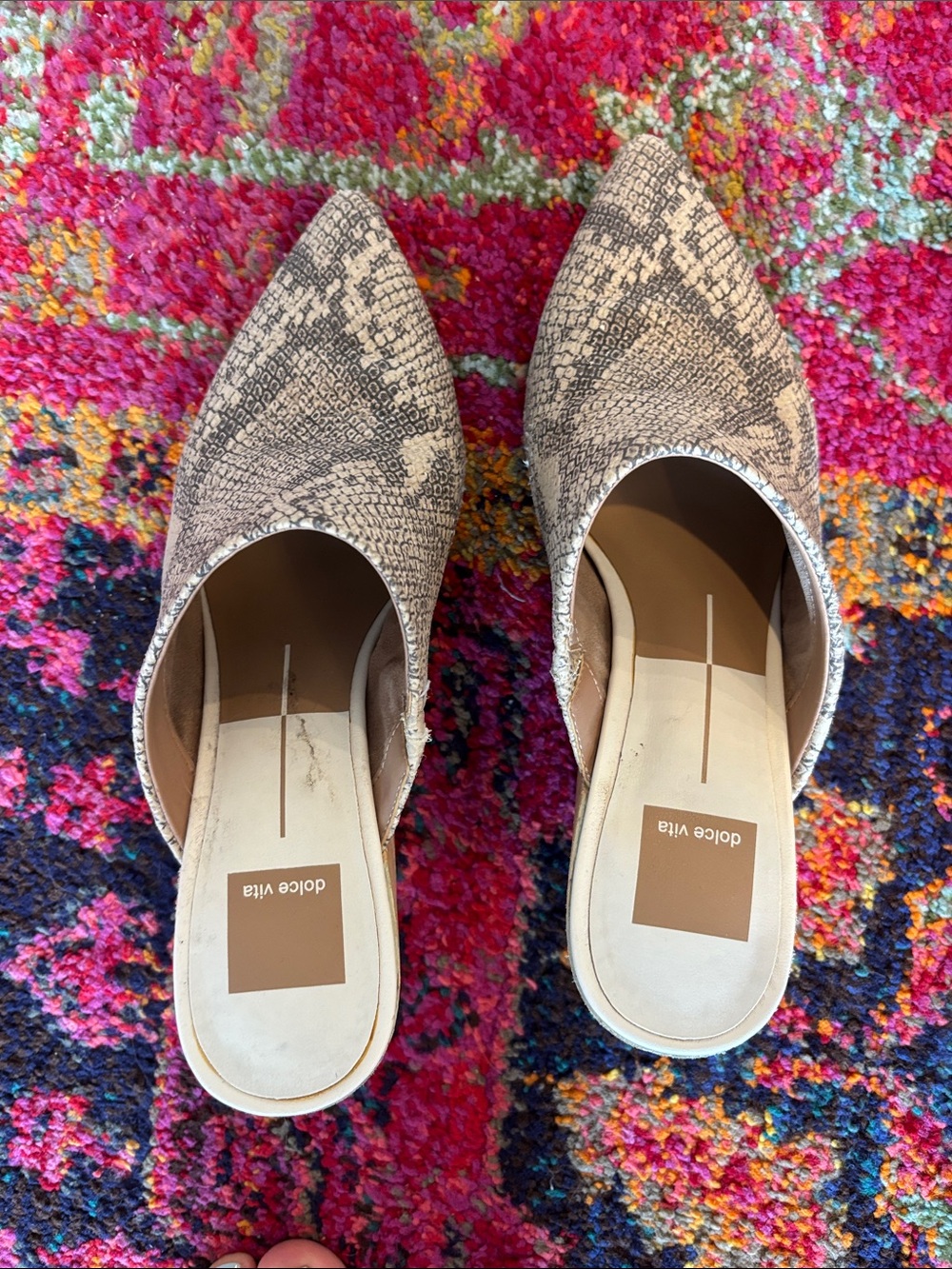 Dolce Vita Beige Snake-Print Pointed Slip-On Mules